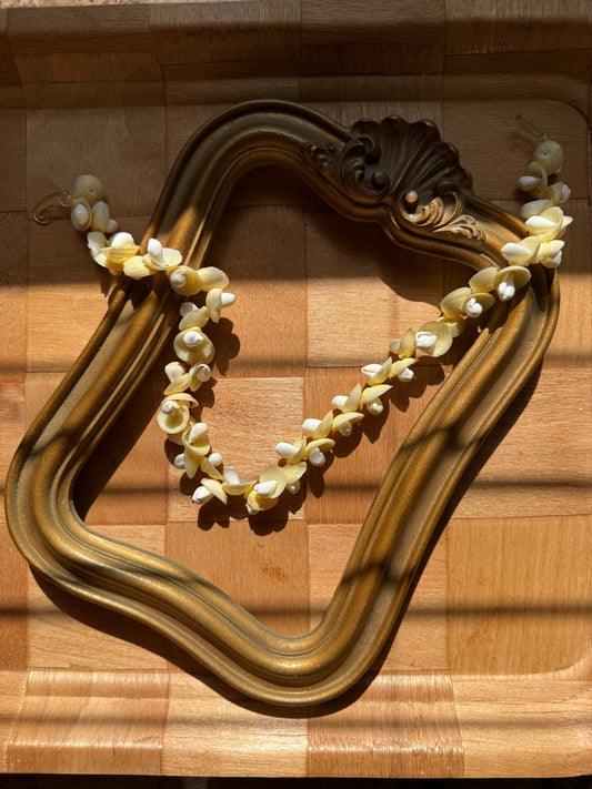 40s Cowrie Shell Necklace